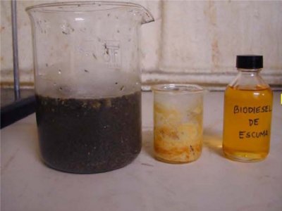 BIODIESEL 01  CONTENEDOR